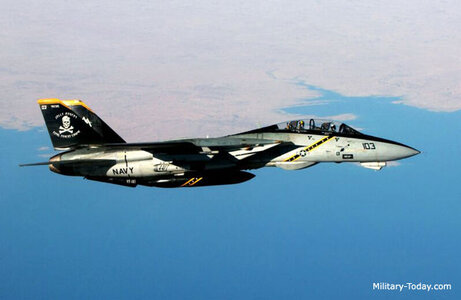 f14_tomcat.jpg