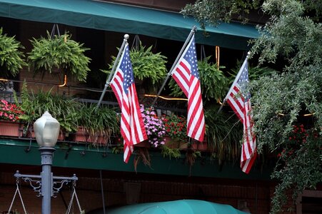 flags.jpg