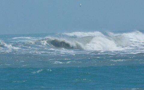 IMG_6739.jpg
