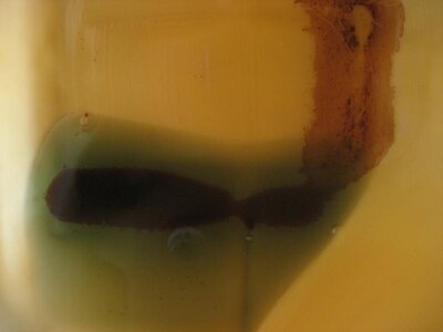 IMG_2895.jpg IMG_2895.jpg