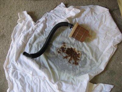 IMG_2892.jpg IMG_2892.jpg