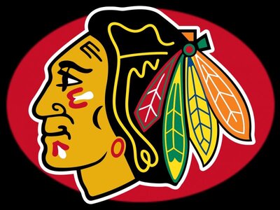 hawks1.jpg