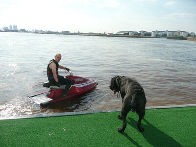 saunto blaster.jpg saunto blaster.jpg