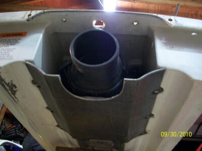 D- plate.jpg