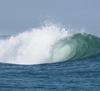 IMG_7016c2.JPG