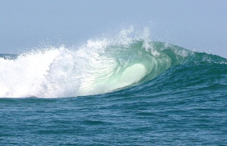 IMG_7017c2.JPG
