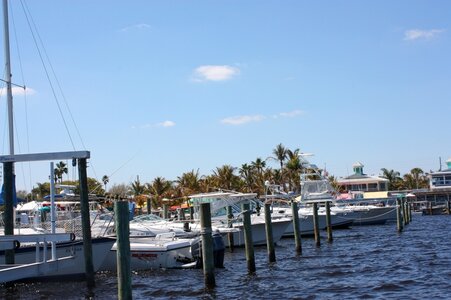 IMG_7305c1.JPG