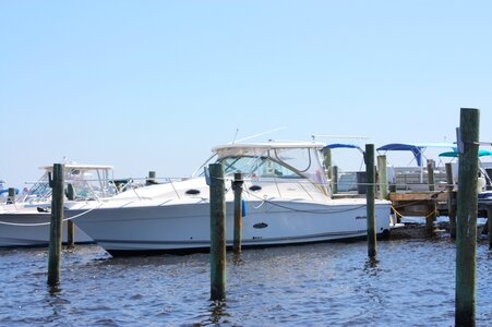 IMG_7309c1.JPG