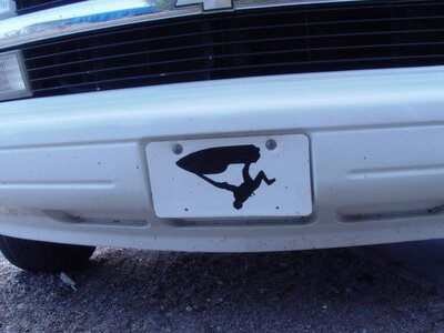 flipper license plate..jpg