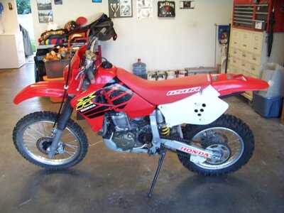 XR650R.jpg