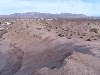 IMG_0250.jpg