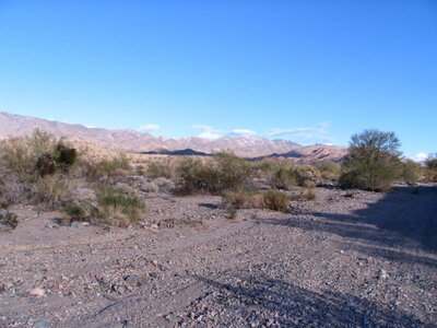 IMG_0269.jpg