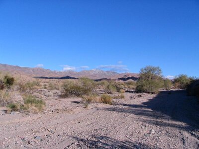 IMG_0266.jpg