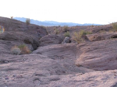 IMG_0258.jpg