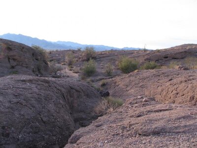 IMG_0261.jpg