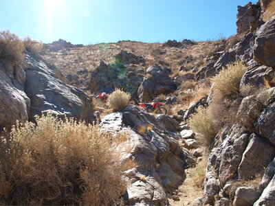 PA231493.jpg