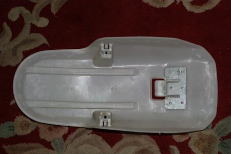 IMG_7281 (Large).JPG