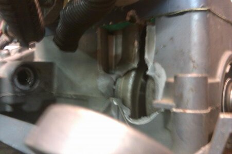 IMAG0085.jpg
