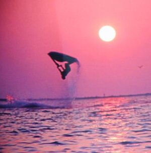sunset  01c1.jpg