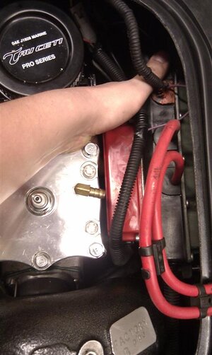 IMAG0257 (Medium).jpg