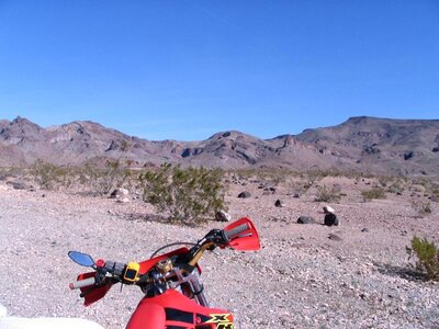 IMG_0356.jpg