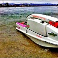 River_shark