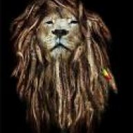 BAYNE LiON