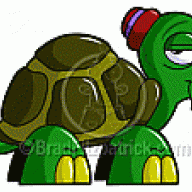 Turtle