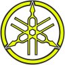 DrewAlexy