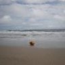 jetskier0